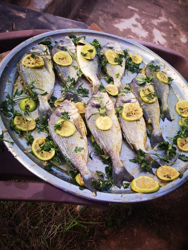 Fumage, Salage et Séchage : Techniques Traditionnelles pour Conserver le Poisson