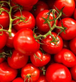 Les étapes de la congélation de la tomate